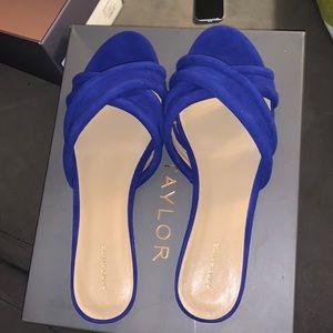 Brand New Never Worn Ann Taylor Suede Slides